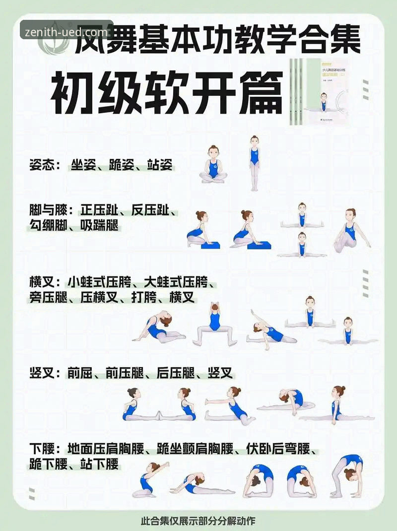 UED最新体育入门必备知识：快速掌握互动空间手机版的实用技巧