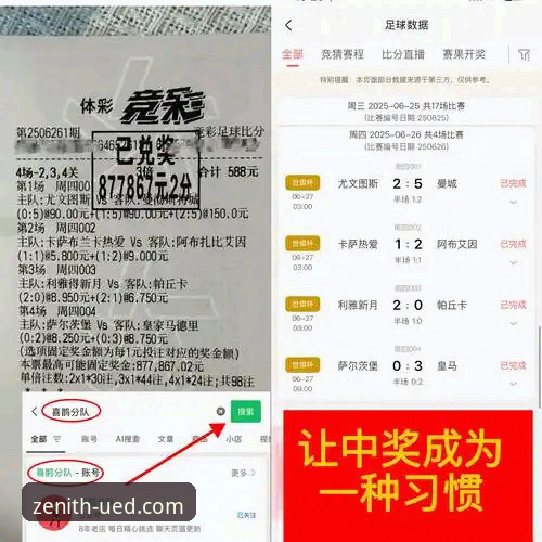 UED最新体育平台深度评测：风险使用技巧与用户体验全面分析